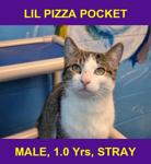 LIL PIZZA POCKET